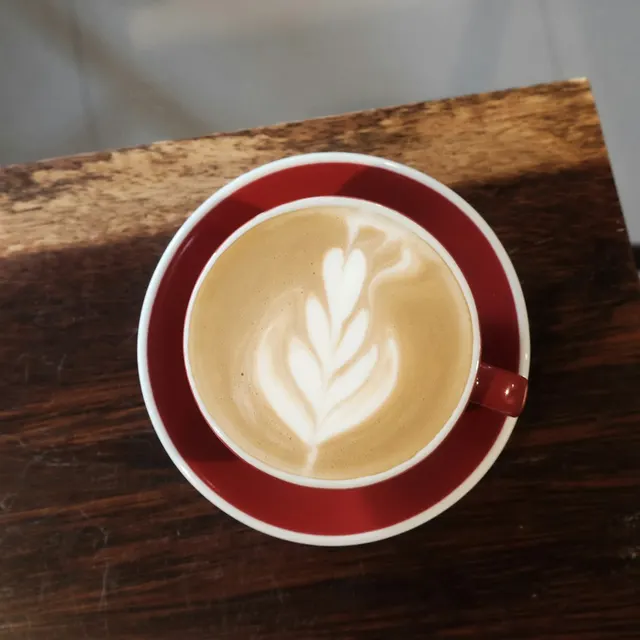 کاپوچینو